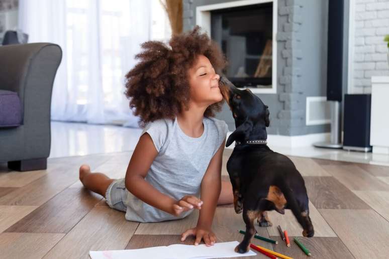 As crianças e animais de estimação devem ficar em locais seguros e que não tenham contato com as cinzas 