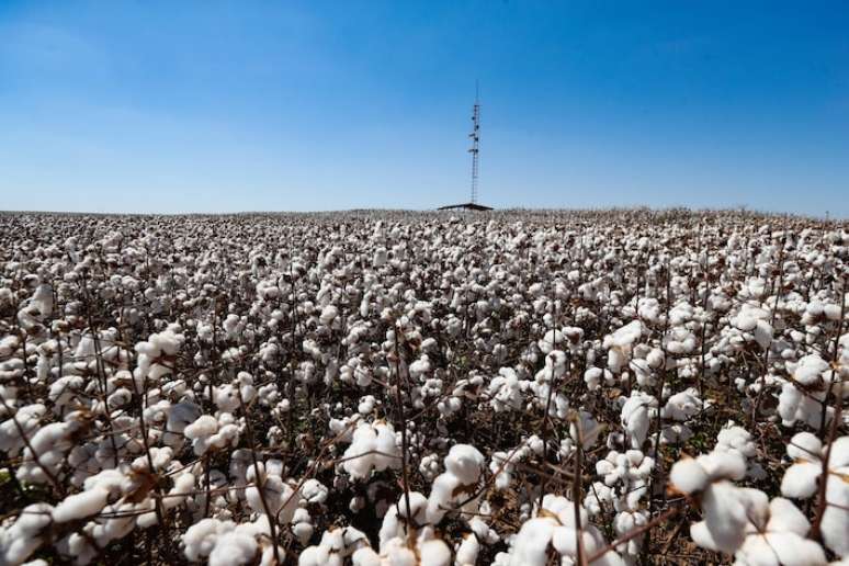 Em carta, representantes do agro destacam que, além de contar com baixos índices de emissões de gases do efeito estufa, o setor possui a capacidade de 'remover carbono'