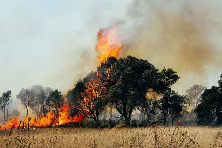 Com o aumento da temperatura aumentam as queimadas, e é necessário tomar cuidados com a saúde (Imagens: Fabrizio Maffei | Shutterstock)