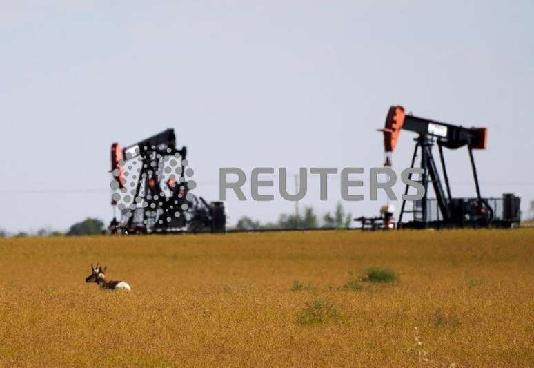 An antelope and oil pumpjacks are pictured in a farmer’s field near Kindersley, Saskatchewan, Canada September 5, 2024.  REUTERS/Todd Korol