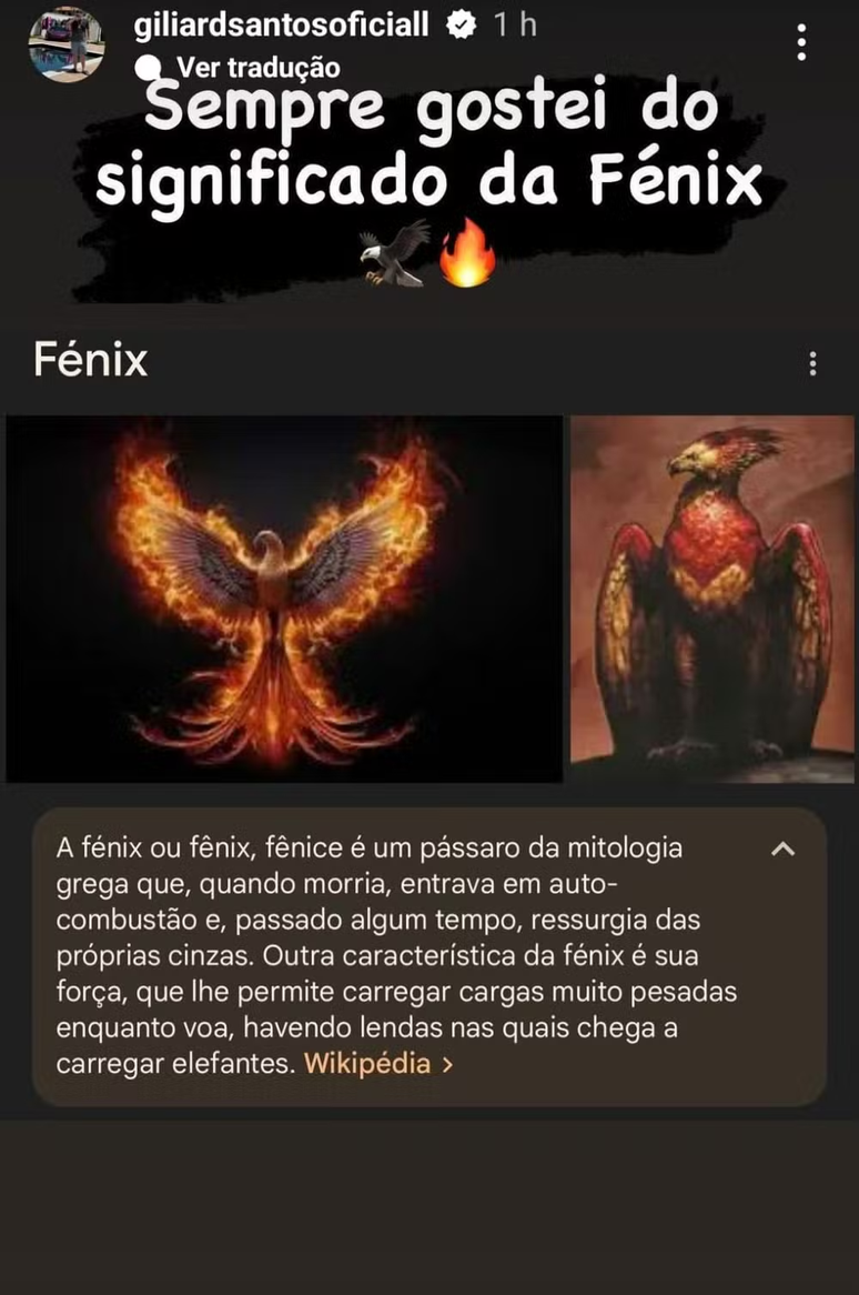 Giliard Santos publicou o significado da fênix 