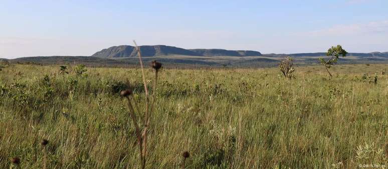 Chapada dos Veadeiros é uma das principais áreas de preservação do cerrado