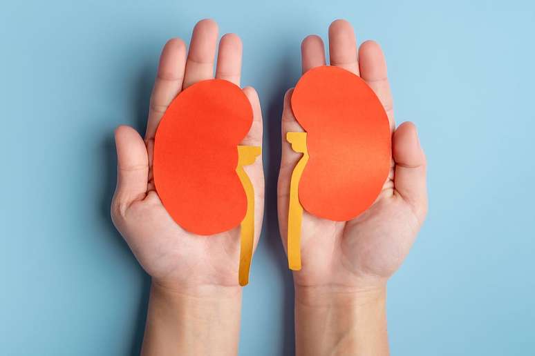 De acordo com filosofias orientais, os rins armazenam a energia vital herdada dos pais, influenciando a longevidade e a sa&uacute;de geral 