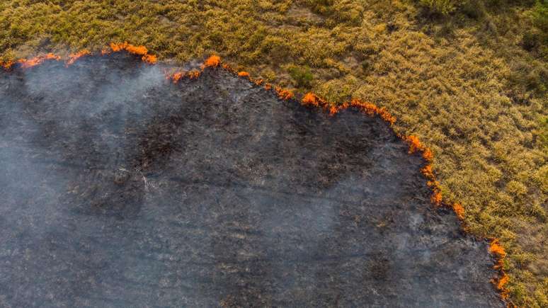 Incêndios florestais têm contribuído para piora da qualidade do ar