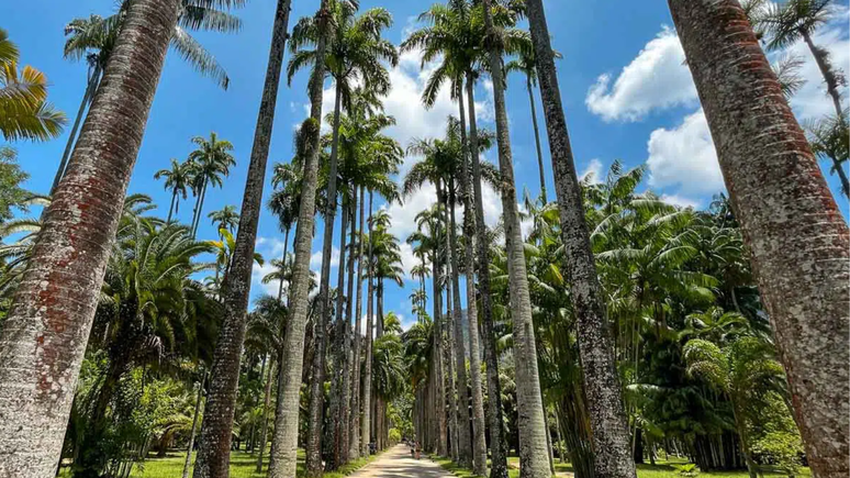 Jardim Botânico está localizado na zona Sul no Rio de Janeiro