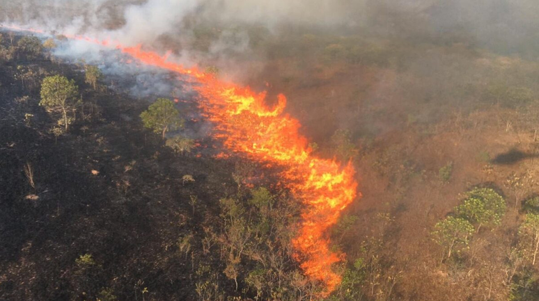 Queimadas avançam pelo Parque Nacional da Chapada dos Guimarães, em Mato Grosso. Região é próxima de resort onde ministros da agricultura do G20 estão reunidos