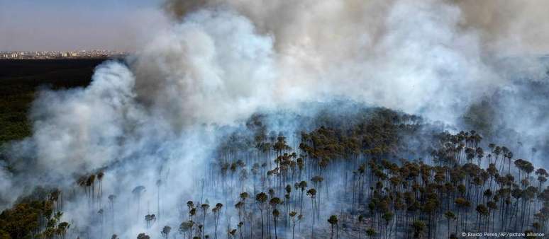 Floresta Nacional de Brasília foi uma das regiões devastadas pelos incêndios que se espalha pelo país