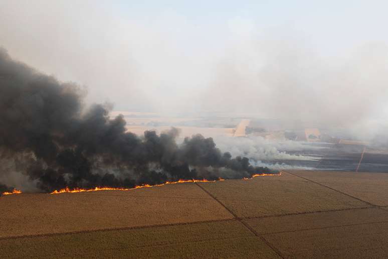 Incêndio em plantação de cana de açúcar no interior de São Pauilo, próximo a Dumon city, em 24 de agosto de 2024.