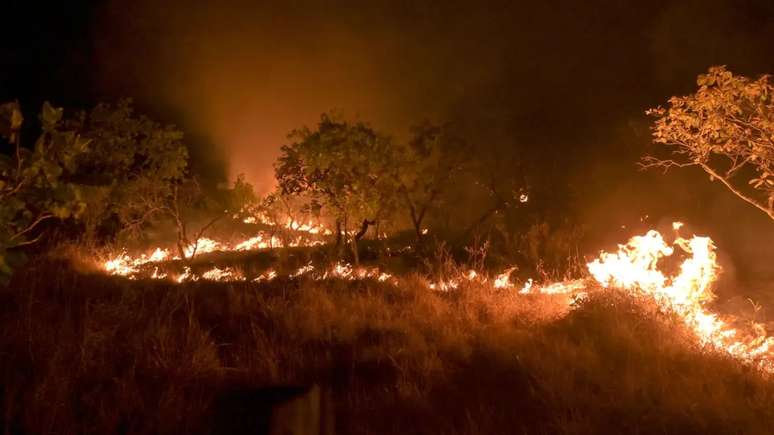 Com mais de 82 mil focos de incêndio contabilizados de janeiro a setembro de 2024, a Amazônia já alcançou o dobro de queimadas em relação ao mesmo período de 2023