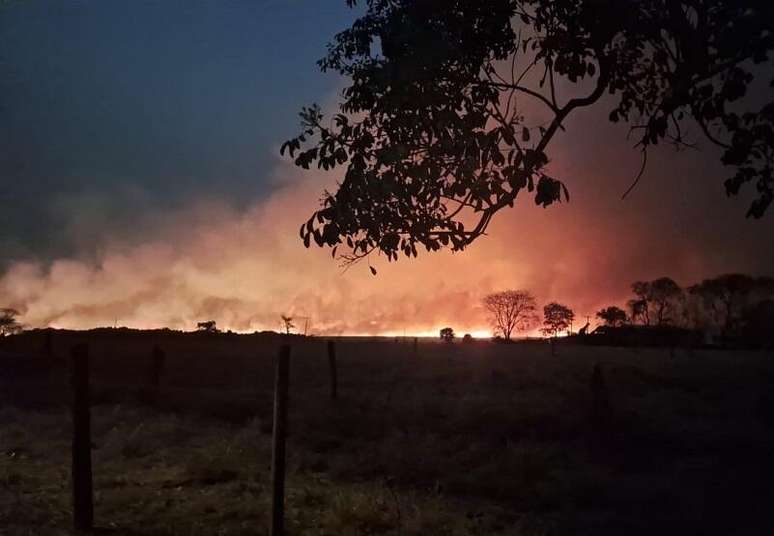 Incêndio ativo nos arredores de São Carlos (SP), e 11/9/24 (Foto: Fernanda Ribeiro)