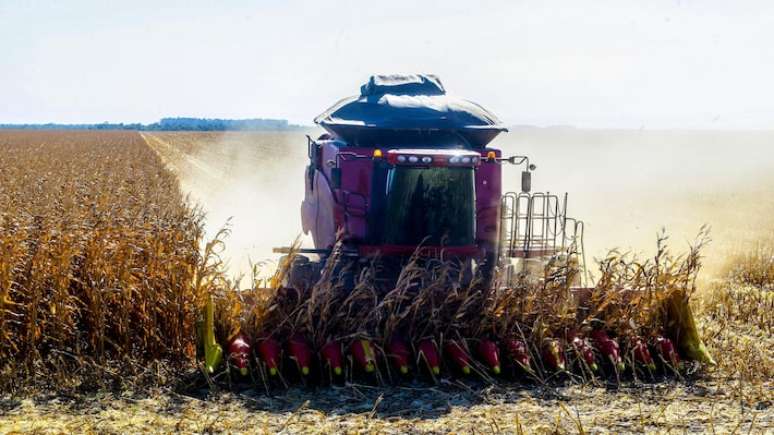 Mato Grosso foi o Estado com o maior valor de produção agrícola em 2023, com R$ 153,5 bilhões