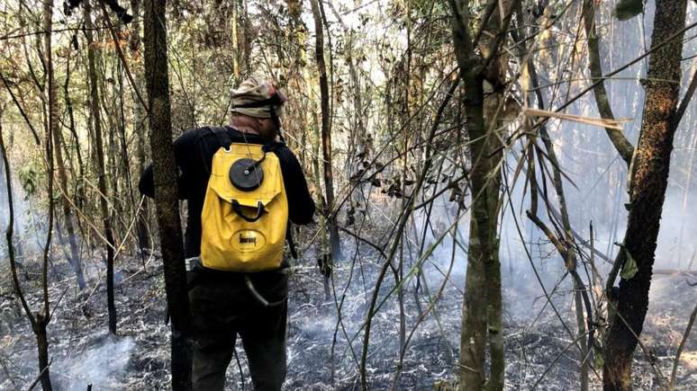 Brigadista auxilia no combate ao fogo.