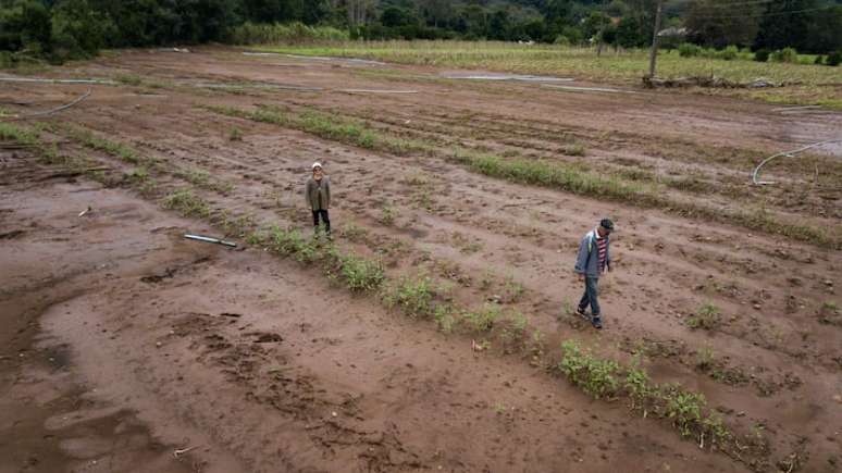 Em maio, produtores de centenas de cidades gaúchas, incluindo Caxias do Sul, perderam a lavoura devido à enchente