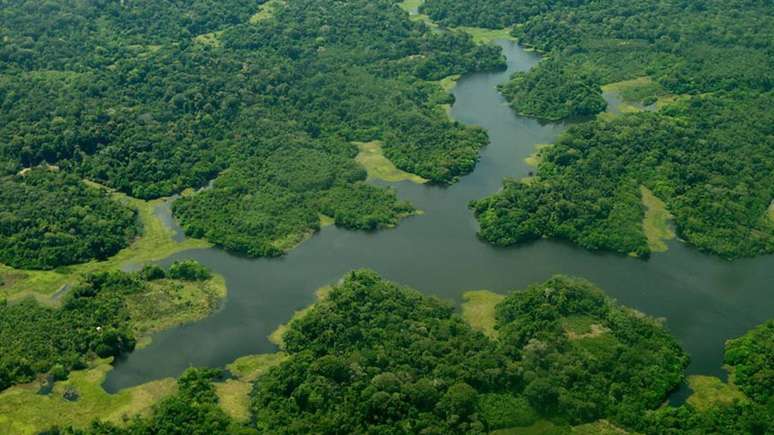 O texto destina 20% dos recursos do Fundo Especial a projetos na Amazônia