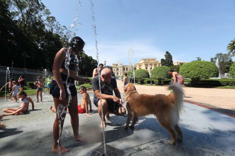 Cachorros também têm sofrido com os dias de calor intenso.