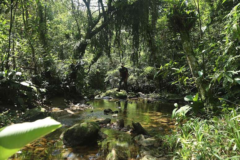 Trilha da Cachoeira da Torre 