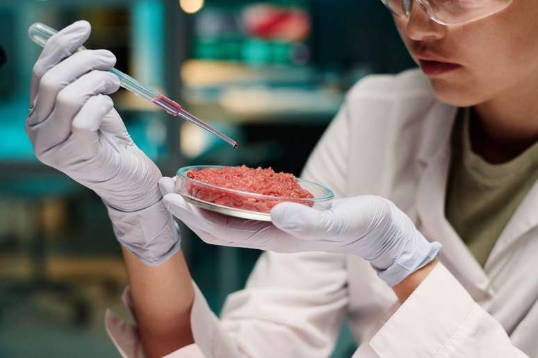 Carne artificial, criada em laboratórios, poderia ser uma forma de se reduzir o aquecimento global no futuro, segundo o autor