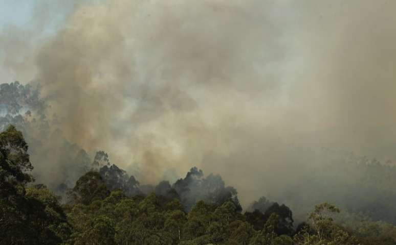 Incêndio em mata na cidade de Mairiporã, em SP