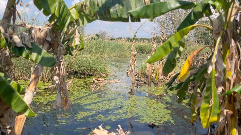 O Lago Malawi é o segundo maior lago da África