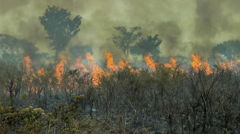 De acordo com um levantamento da Advocacia Geral da União (AGU), 85% dos focos dos incêndios estão localizados na Amazônia e no Pantanal