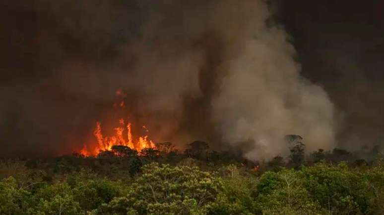 Focos de incêndio castigam áreas do Parque Nacional de Brasília