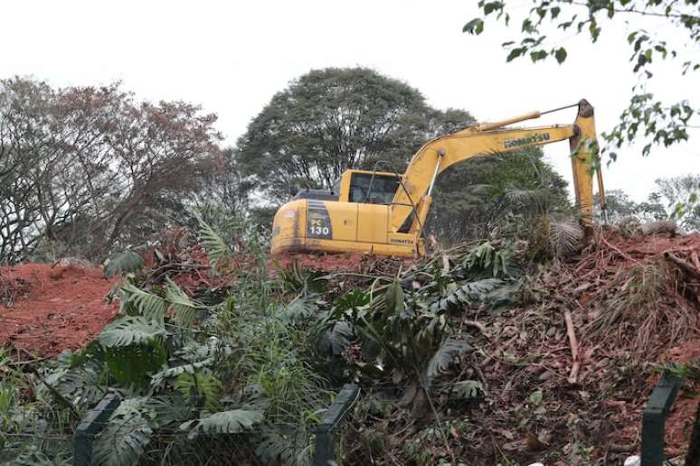 179 árvores foram cortadas pela construtora do grupo Cury para a construção de um condomínio na zona norte da capital.