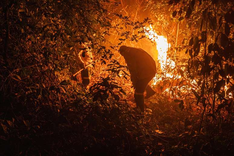 Brigadistas relatam jornadas de combate que podem chegar a 12 horas e entrar pela madrugada