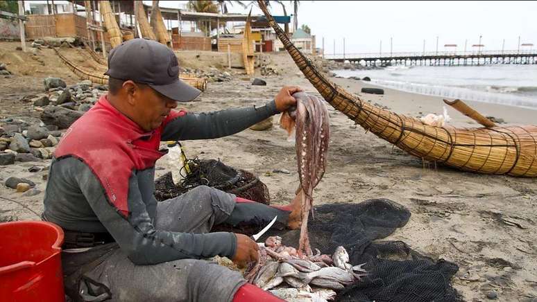 Depois de surfarem de volta para a praia, os pescadores dividem seus peixes com a comunidade