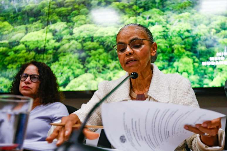 Ministra do Meio Ambiente, Marina Silva