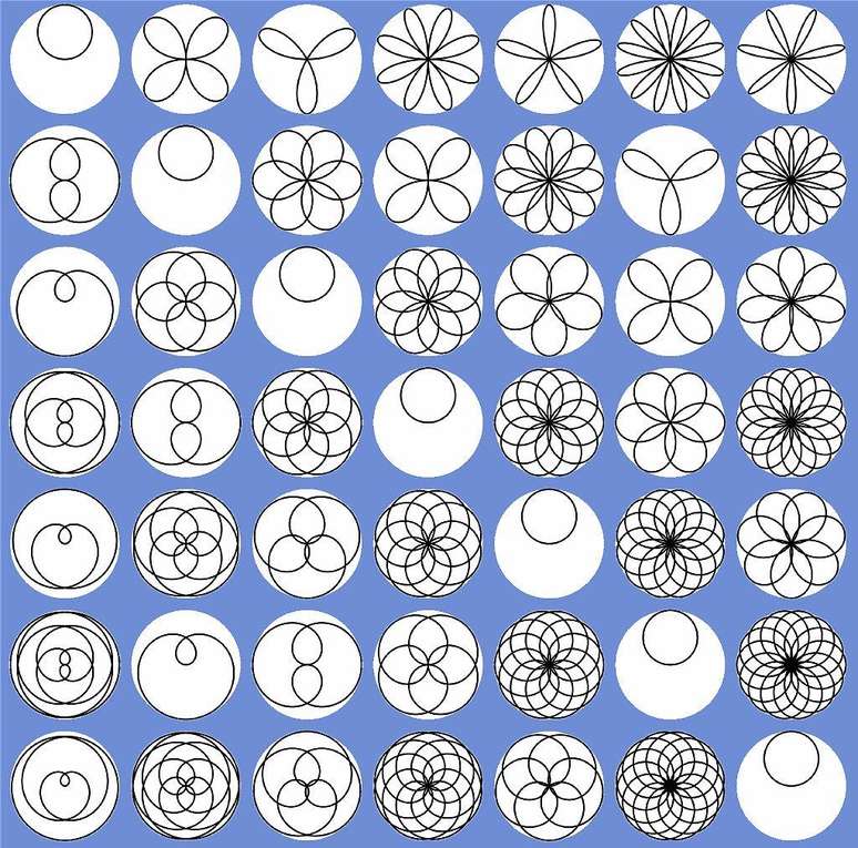 As rosas polares intrigam matemáticos e artistas desde que foram descritas pela primeira vez por Guido Grandi no século XVIII