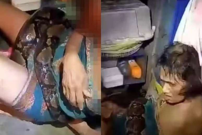 Mulher de 64 anos foi vítima de ataque de cobra píton