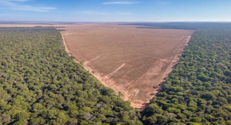 Área desmatada ilegalmente dentro de parque nacional na Amazônia: áreas de proteção ambiental não conseguem evitar a perda de florestas em muitas partes do mundo. Shutterstock