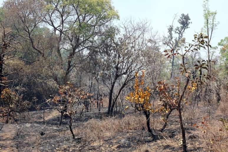 Incêndio atingiu parque nacional de Brasília nesta semana