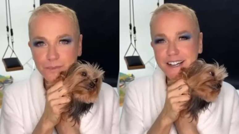 Xuxa pede para conhecer Cyndi Lauper