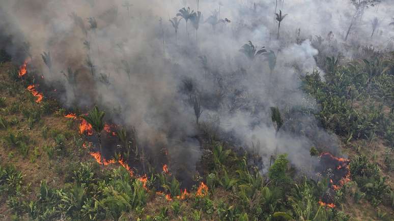 Lula deve usar o cenário de incêndios - que ameaça diversos biomas do país - como exemplo do que o mundo todo deve enfrentar em breve