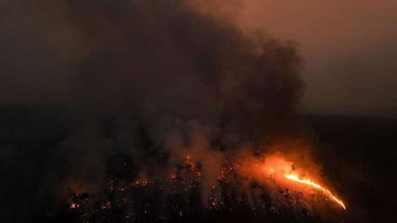 Na Amazônia, incêndios em áreas de vegetação nativa preocupam especialistas