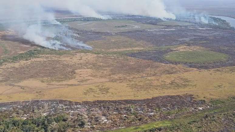 Mato Grosso do Sul e Amazonas são os maiores emissores neste ano