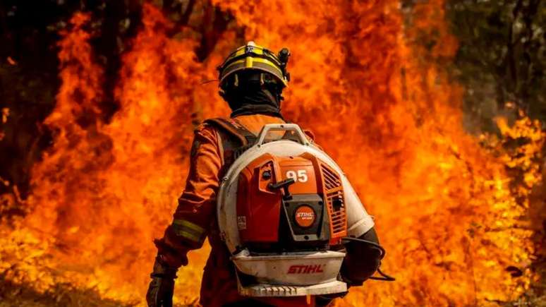 Brigadistas combatem incêndio em áreas do Cerrado, bioma também afetado pelos incêndios