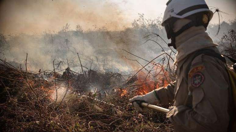 Pantanal foi gravemente afetado pelos incêndios recentes, apontam relatórios