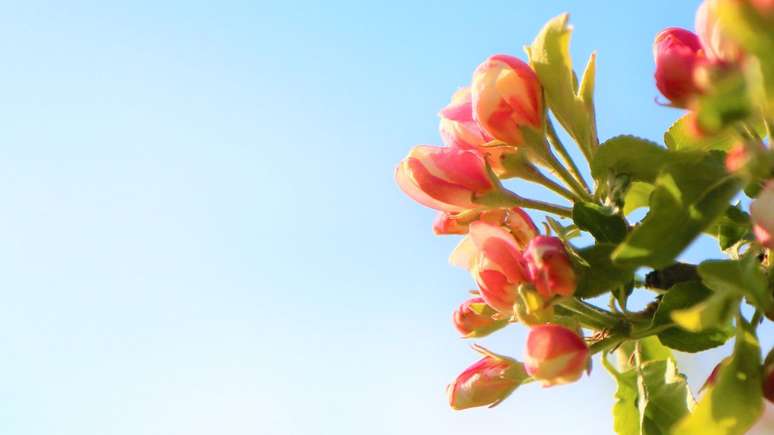 Primavera contará com calor mais moderado e úmido