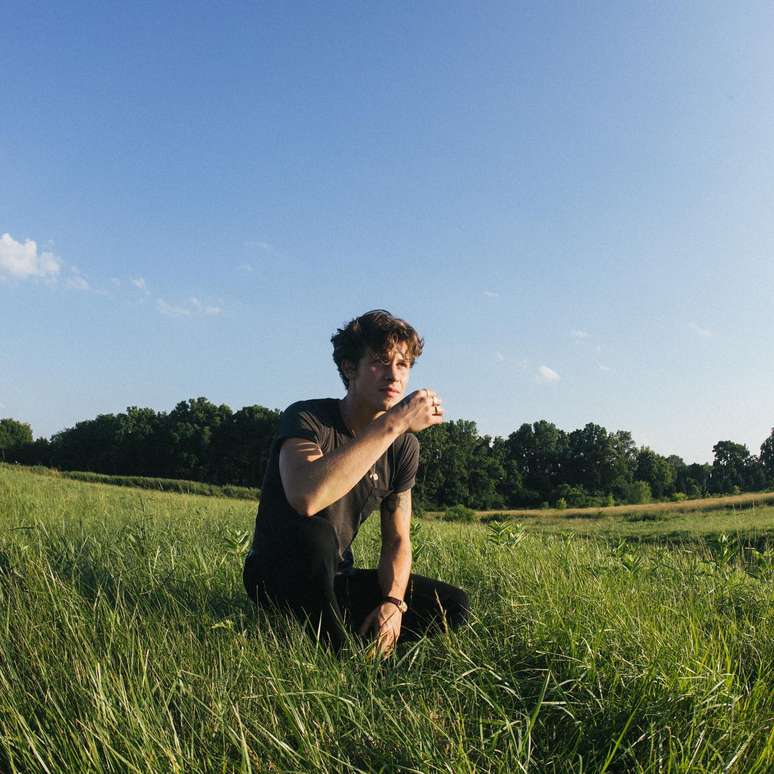 Shawn Mendes, cantor