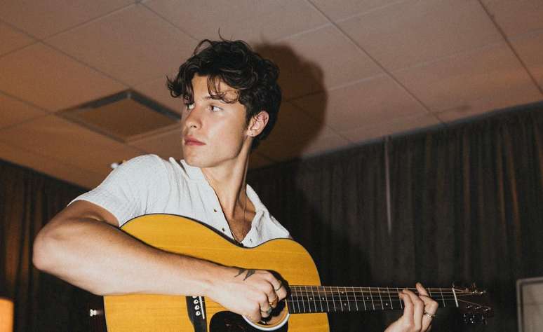 Shawn Mendes, cantor