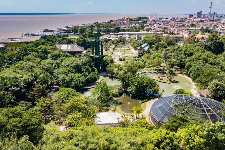 No parque Mangal das Garças, é possível interagir bem de perto com as garças 