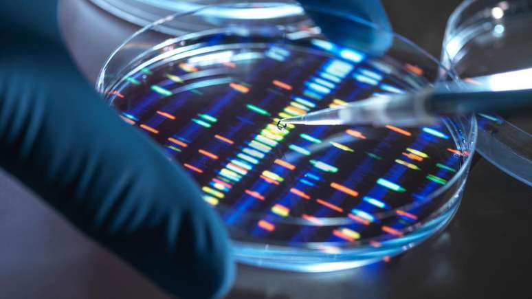 Ao modificar genes de ratos de laboratório, cientistas conseguiram modular a resposta que os animais tiveram durante uma infecção