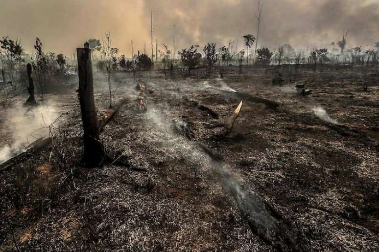 Judiciário será chamado para agir em questões climáticas, mas não cabe a ele decidir os rumos de como lidar com o problema