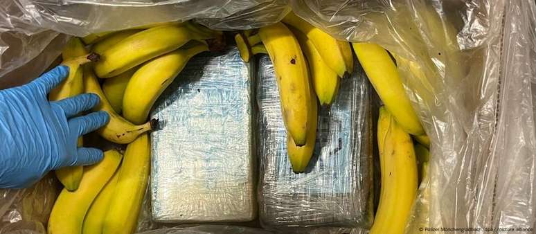 Quase 100 kg de cocaína são encontradas em meio a caixas de bananas na Alemanha. Suspeita é que droga tenha vindo da América do Sul