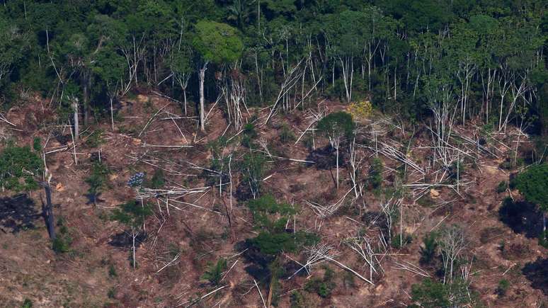 Área desmatada na Floresta Nacional do Jamanxim, na Amazônia paraense