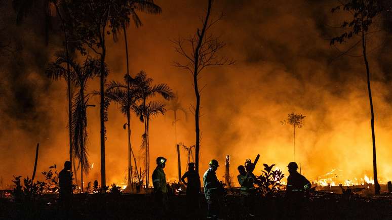 Trabalhadores do PrevFogo, programa de extinção de incêndios florestais do Instituto Brasileiro do Meio Ambiente (IBAMA) e do ICMbio (Instituto Chico Mendes), trabalham para conter um incêndio em uma área verde da BR-319, no município de Careiro, Amazonas.