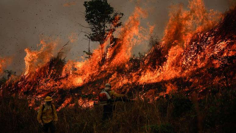 Incêndio na Floresta Amazônica em Apuí, no Amazonas