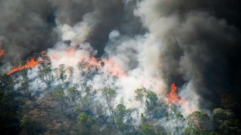 Calor, seca e riscos de incêndio estão aumentando na América do Sul, de acordo com estudo